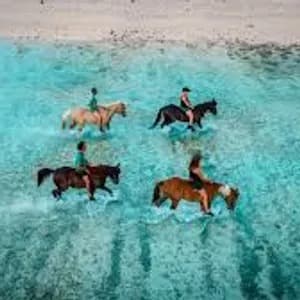 Lay Day Gili T image 3